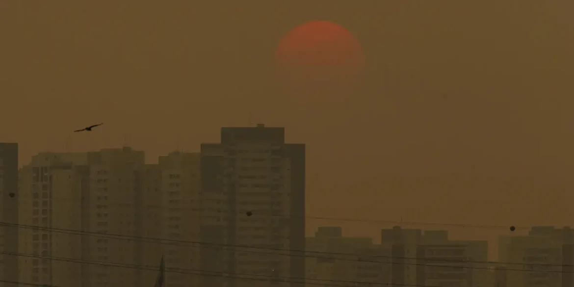 sensor-do-ar-de-baixo-custo-sera-lancado-no-acampamento-terra-livre