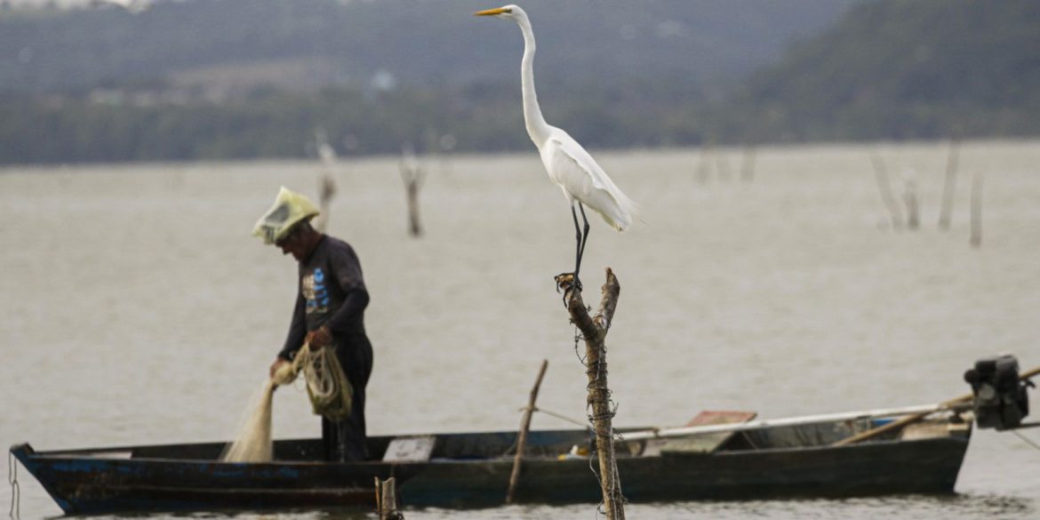 mudancas-aprovadas-para-o-seguro-defeso-previnem-fraudes,-diz-relator