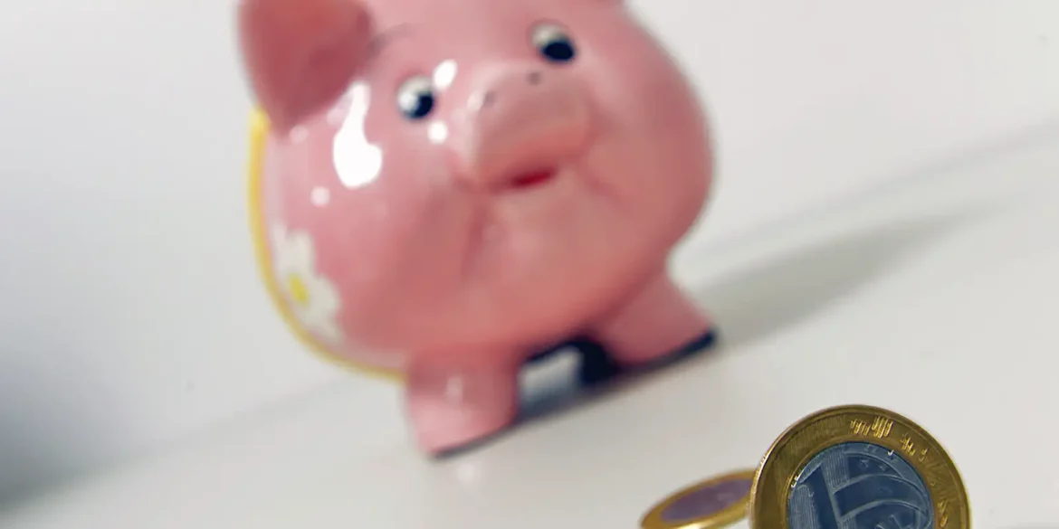 entenda-como-funciona-investir-no-tesouro-reserva